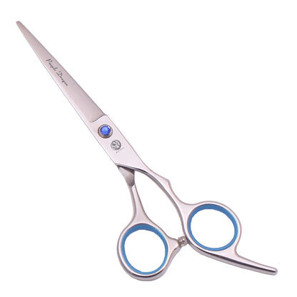 Ciseaux de Coupe & Sculpteur en Acier Inoxydable