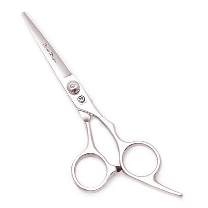 Ciseaux de Coupe & Sculpteur en Acier Inoxydable